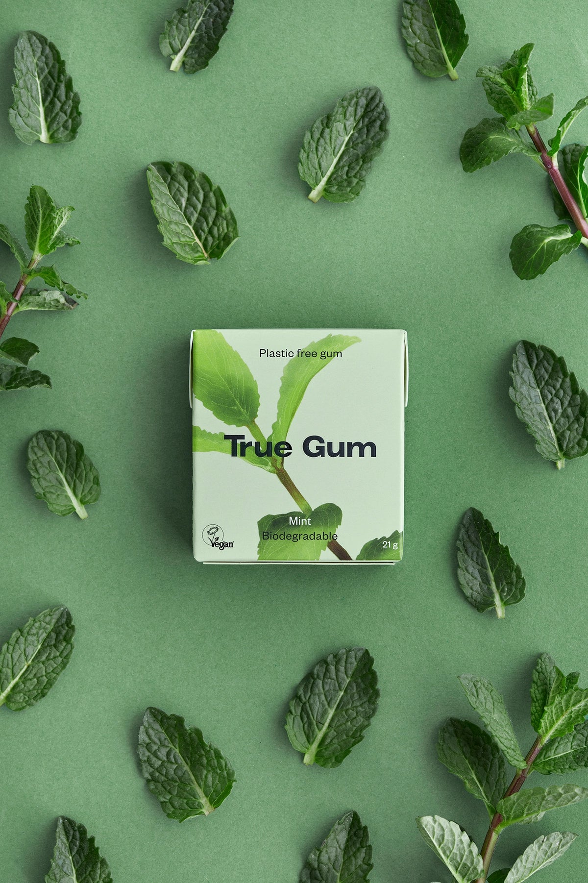 Plastikfreier Kaugummi TRUE GUM (Minze)