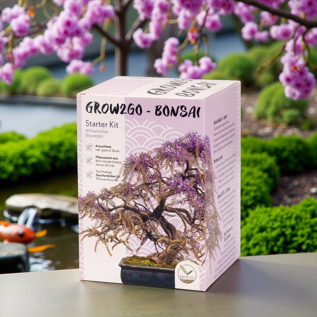 GROW2GO Bonsai Starter Kit Anzuchtset (Geschenkidee)