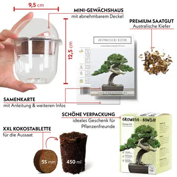 GROW2GO Bonsai Starter Kit Anzuchtset (Geschenkidee)