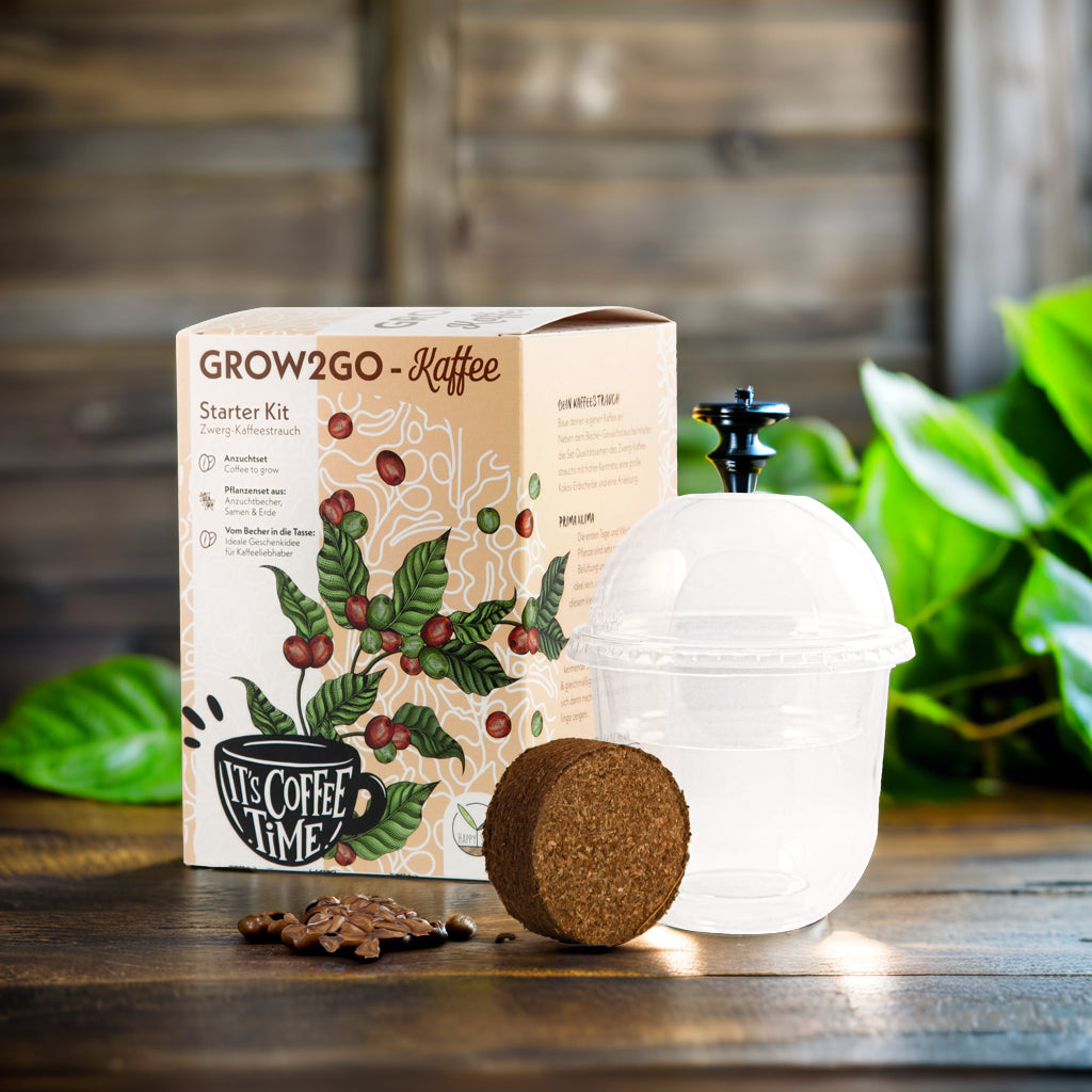 GROW2GO Zwergkaffee Strauch zum selber Pflanzen