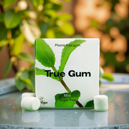 Plastikfreier Kaugummi TRUE GUM (Minze)
